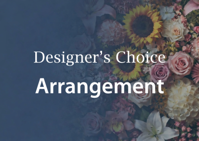 Designer’s ChoiceFrom $150.00 CAD